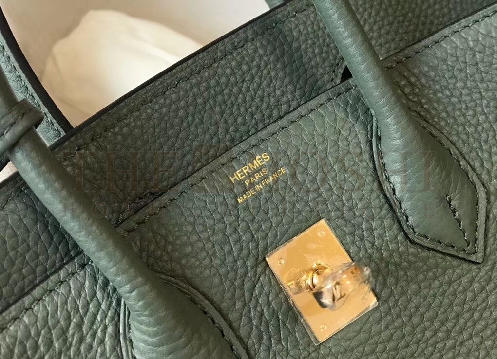 H**me5 Birkin 25 Bag In Vert Amande Clemence Leather with GHW Master Quality