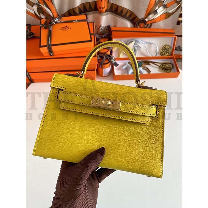 H**me5 Women Mini Kelly 20 Bag Suede Leather Gold Hardware-Gold Master Quality