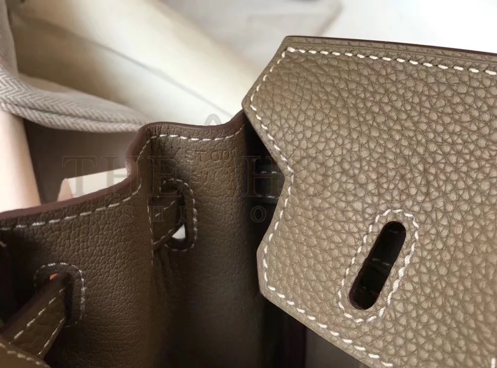 H**me5 Birkin 25 Bag In Taupe Clemence Leather with GHW Master Quality