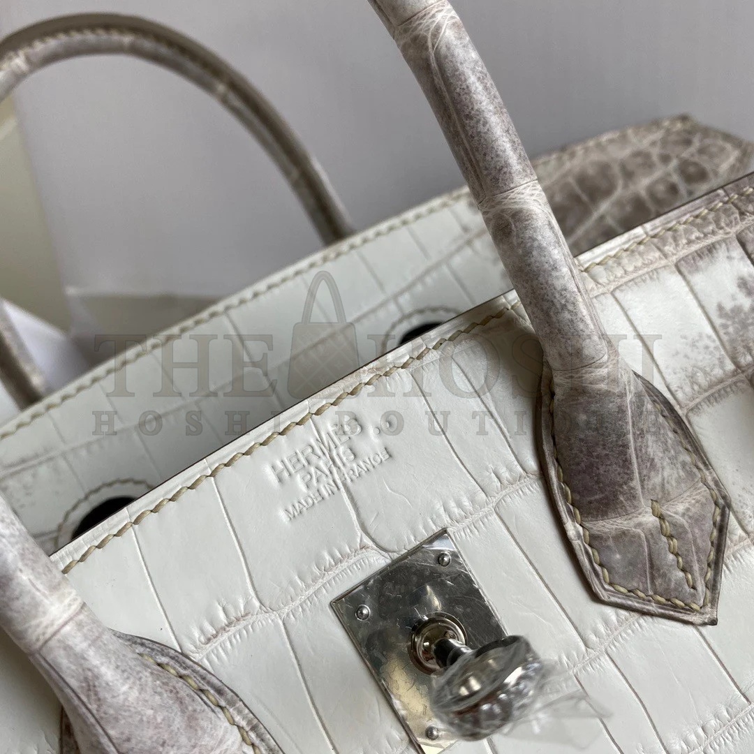 H**me5 Birkin 25 D1am0nd Bag In Himalaya Niloticus Crocodile Skin Master Quality