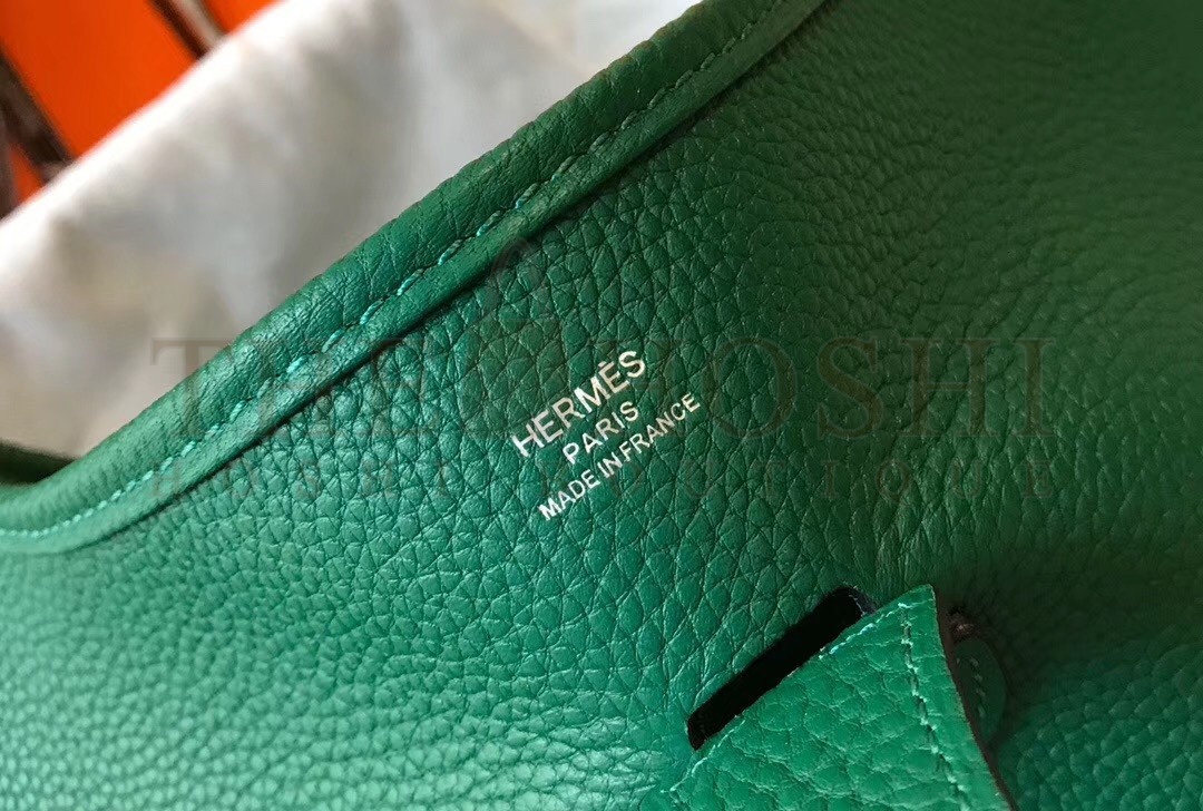 H**me5 Evelyne III 29 Bag In Vert Vertigo Clemence Leather Master Quality