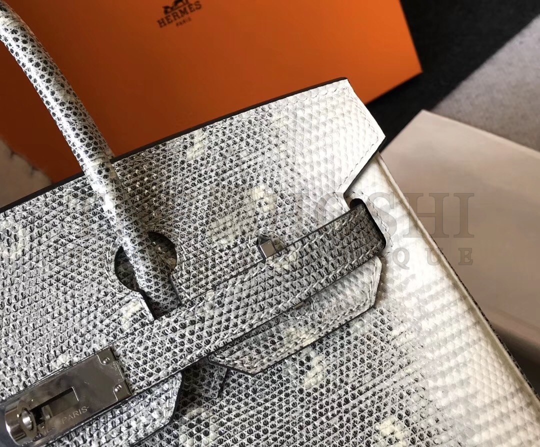 H**me5 Birkin 25cm Bag In Ombre Embossed Natural Lizard Master Quality