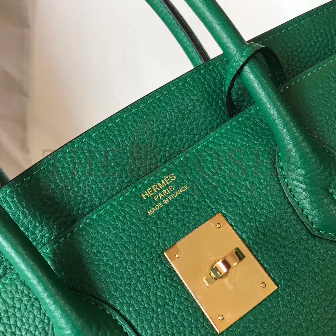 H**me5 Birkin 30 Bag in Vert Vertigo Clemence Leather with GHW Master Quality