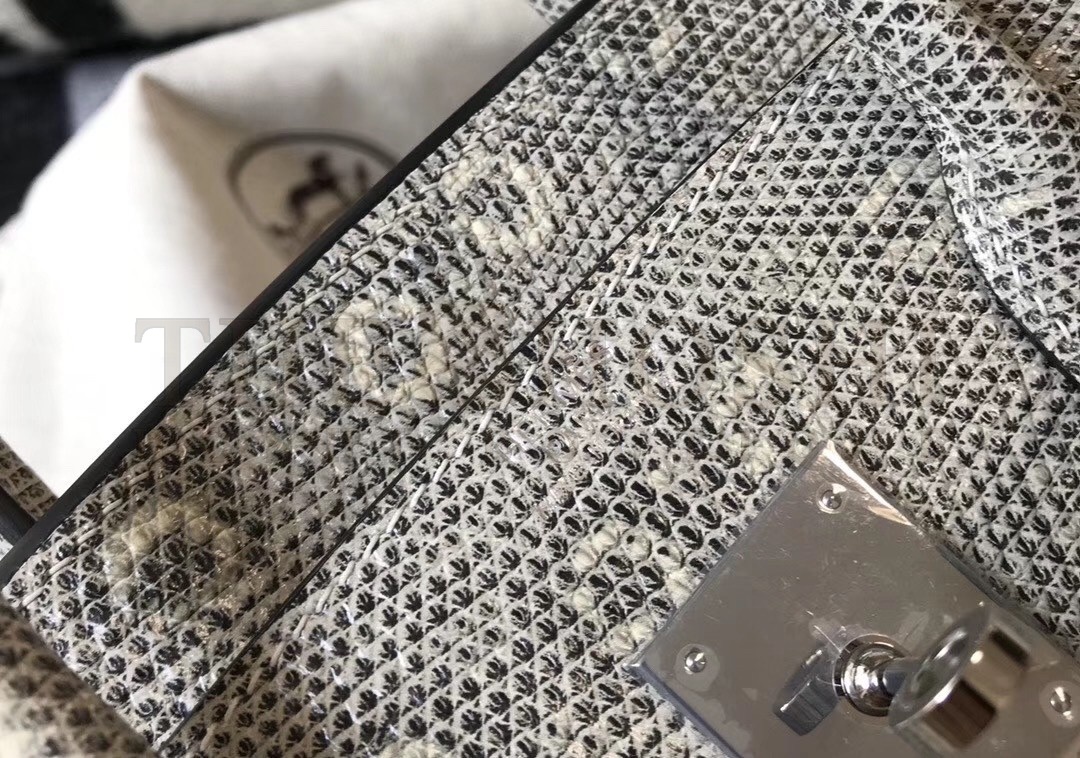 H**me5 Birkin 30cm Bag In Ombre Embossed Natural Lizard Master Quality