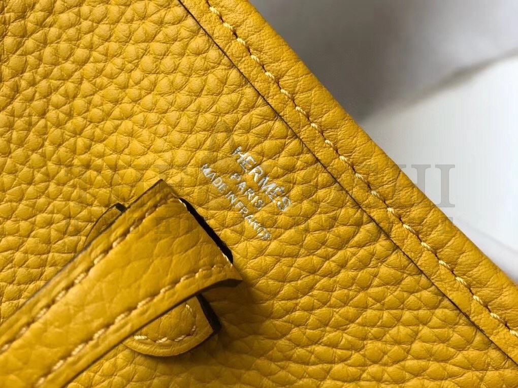 H**me5 Evelyne III TPM Bag In Yellow Clemence Leather Master Quality