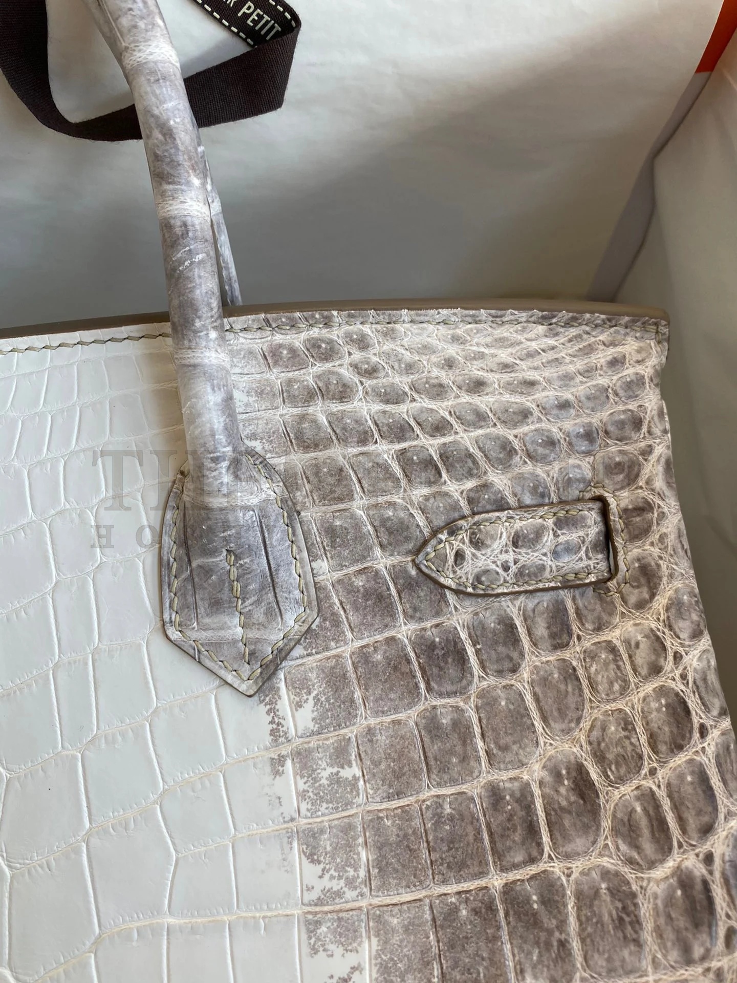 H**me5 Birkin 25 Retourne Bag In Himalaya Niloticus Crocodile Skin Master Quality