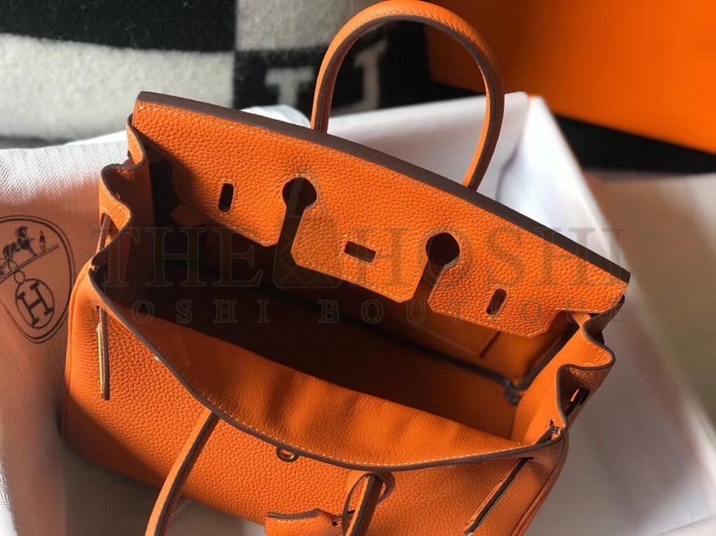 H**me5 Birkin 25 Bag In Orange Clemence Leather with GHW Master Quality