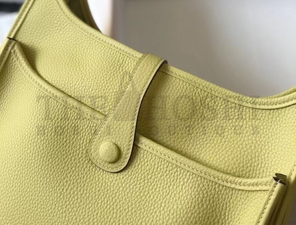 H**me5 Evelyne III 29 Bag In Jaune Poussin Clemence Leather Master Quality