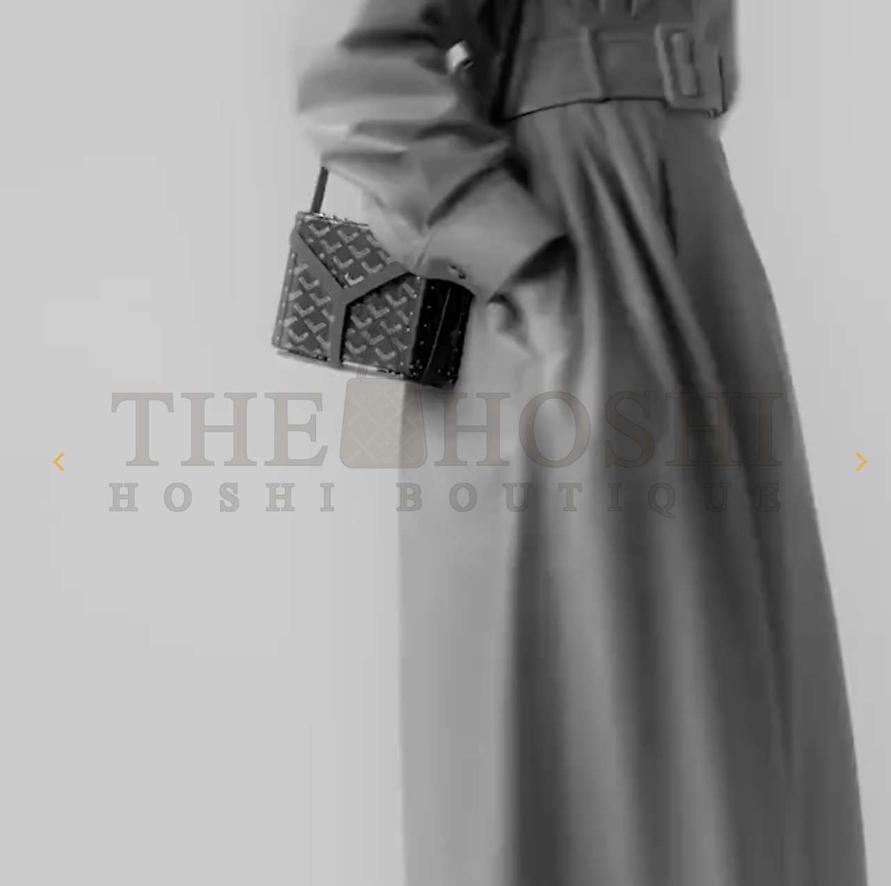 G09ard Minaudière Trunk Bag Master Quality