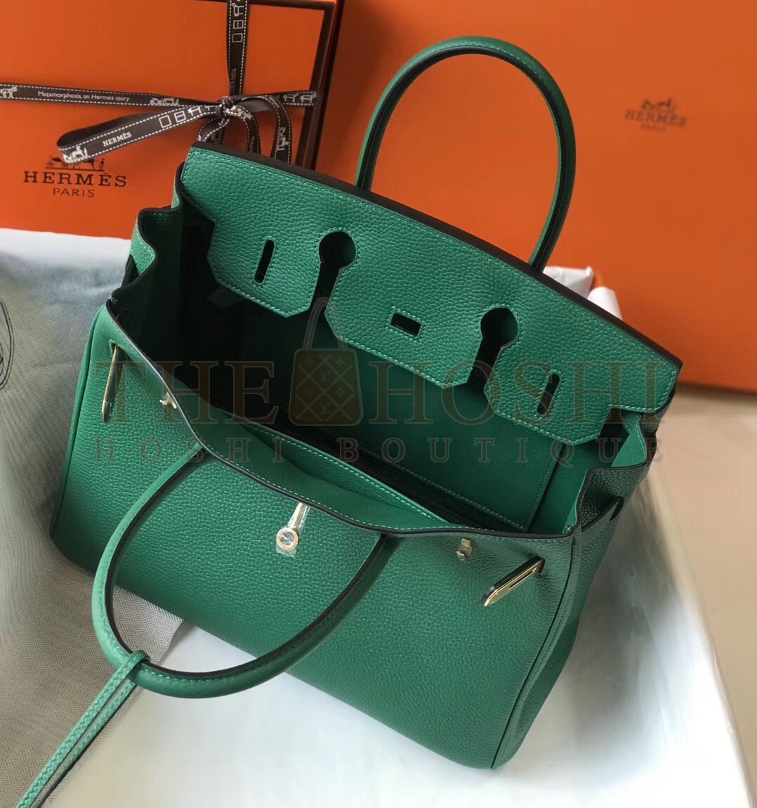 H**me5 Birkin 30 Bag in Vert Vertigo Clemence Leather with GHW Master Quality